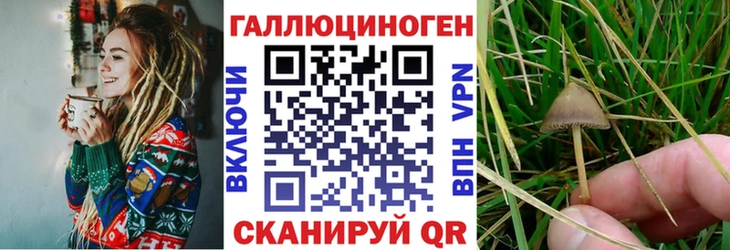 Псилоцибиновые грибы MAGIC MUSHROOMS  Тверь 